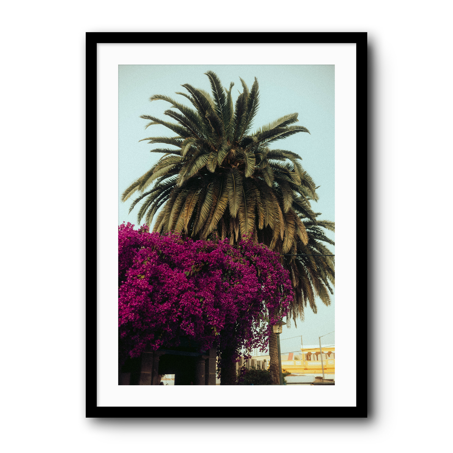 Palm days