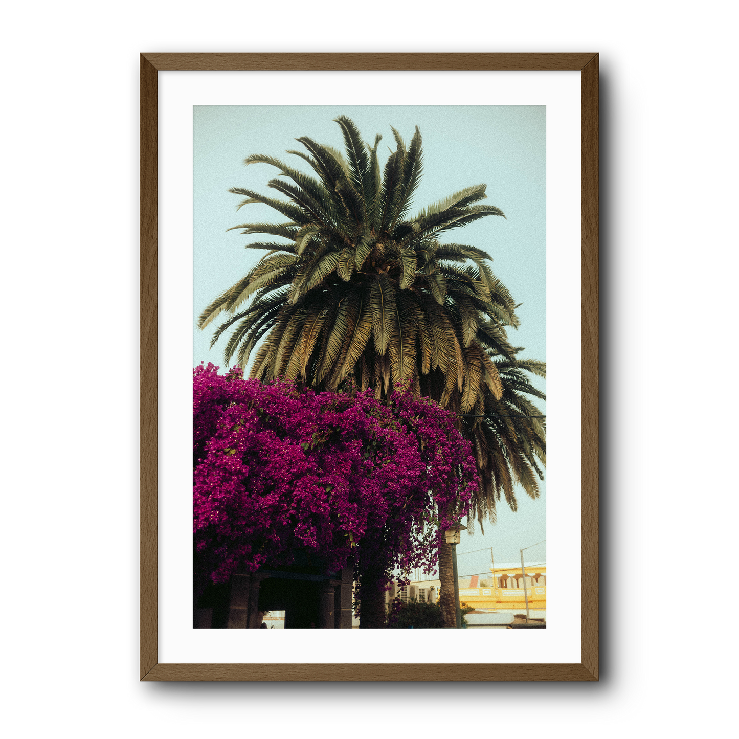 Palm days