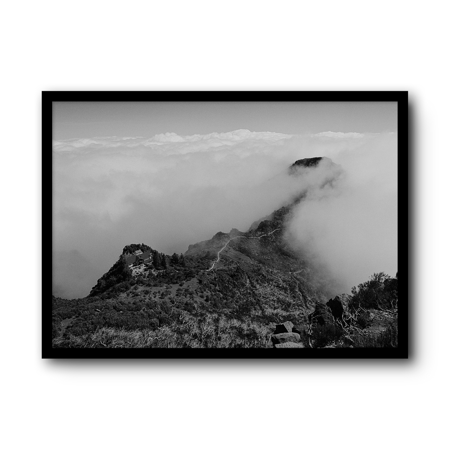 Where the mountains die