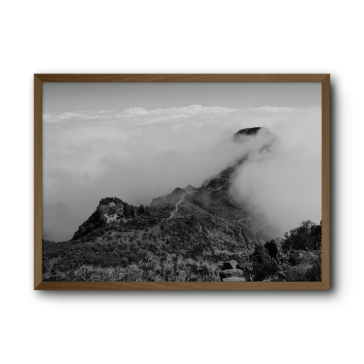 Where the mountains die