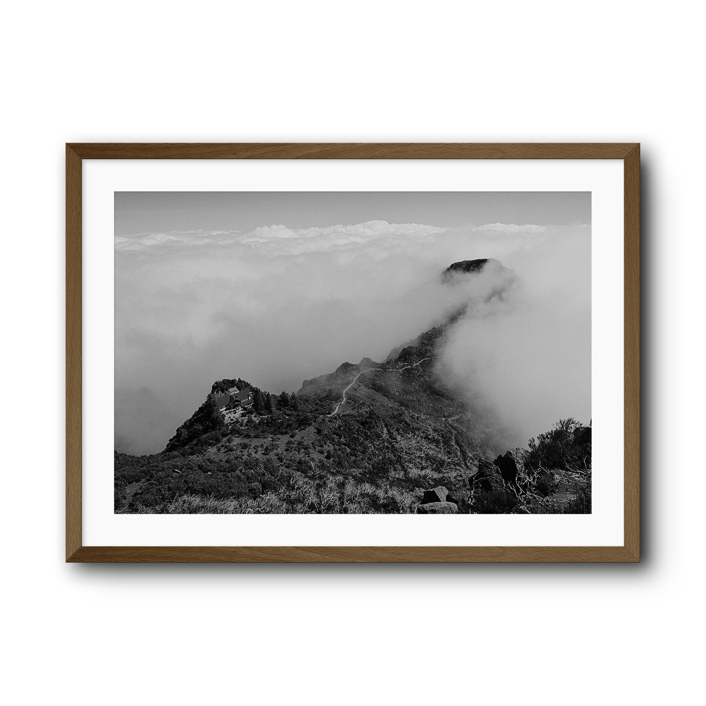Where the mountains die